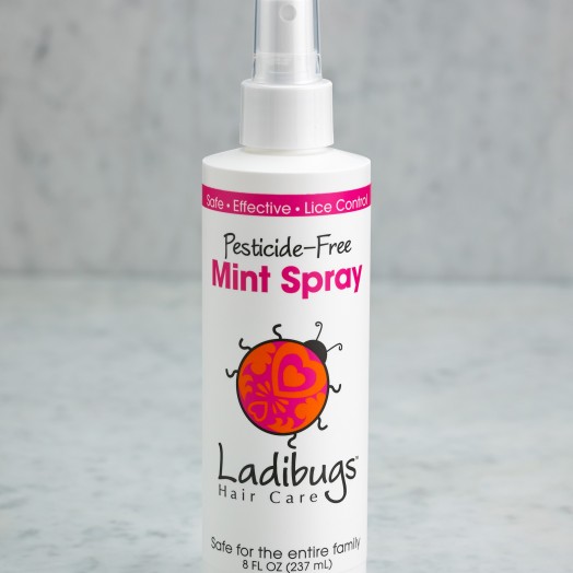 Ladibugs Mint Spray (8oz) Ladibugs Inc.