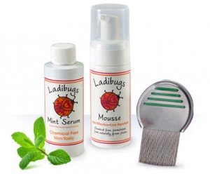 Ladibugs lice elimination Serum, Mousse, and Metal Microgrooved Comb.