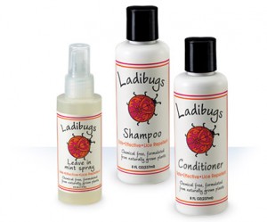 Ladibugs lice prevention Shampoo, Conditioner, and Mint Spray.