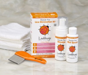 Ladibugs Head Lice Elimination Kit