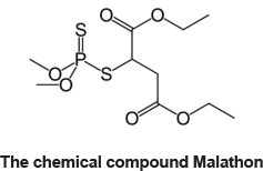 Malathon