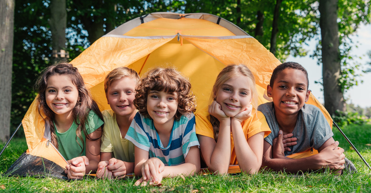 Camp Lice Checks Ladibugs Lice Treatment Consultation