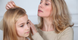 How to clean after lice
