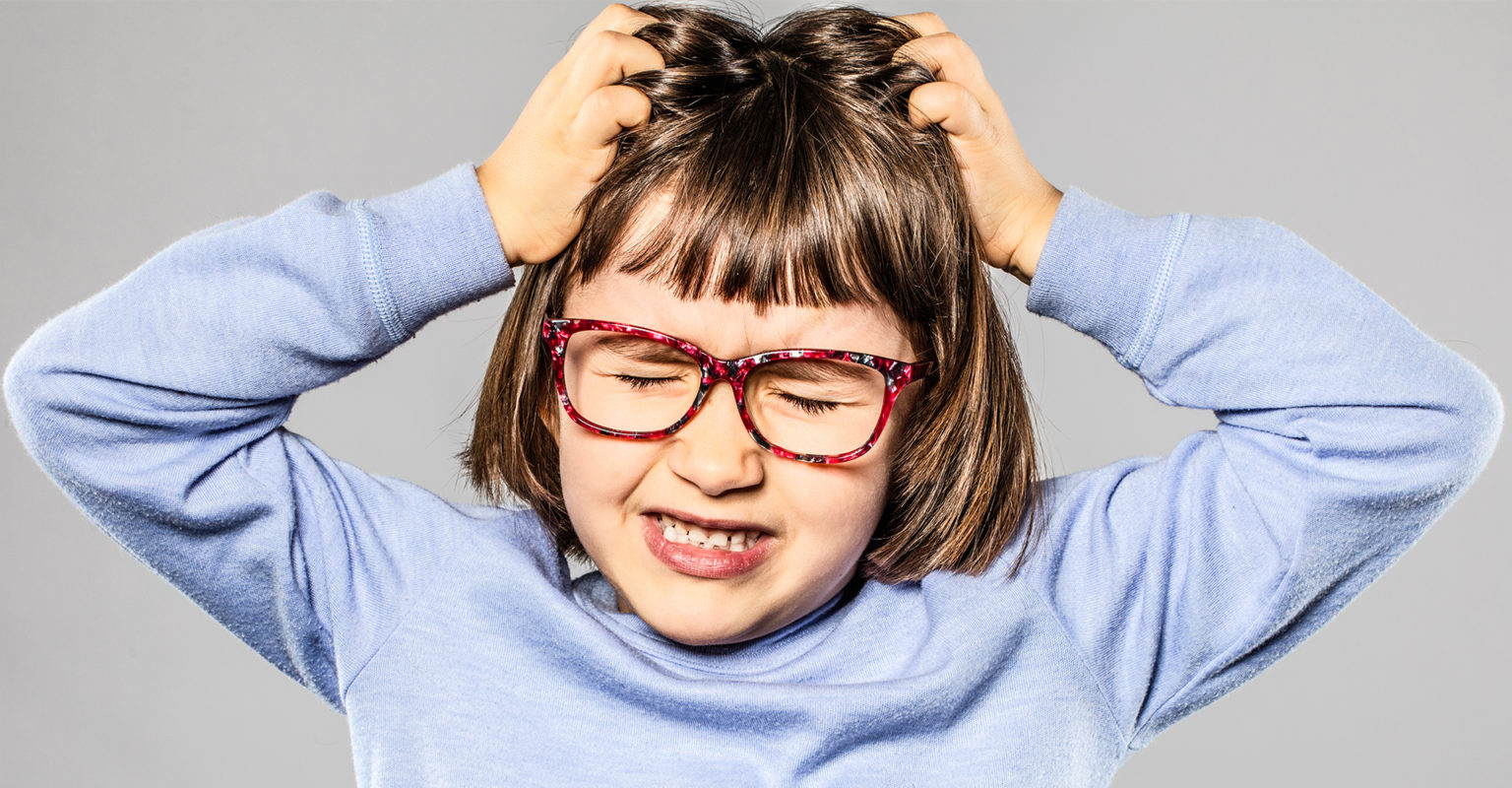 Recognize Lice Lice Removal and Treatment Ladibugs Clinic