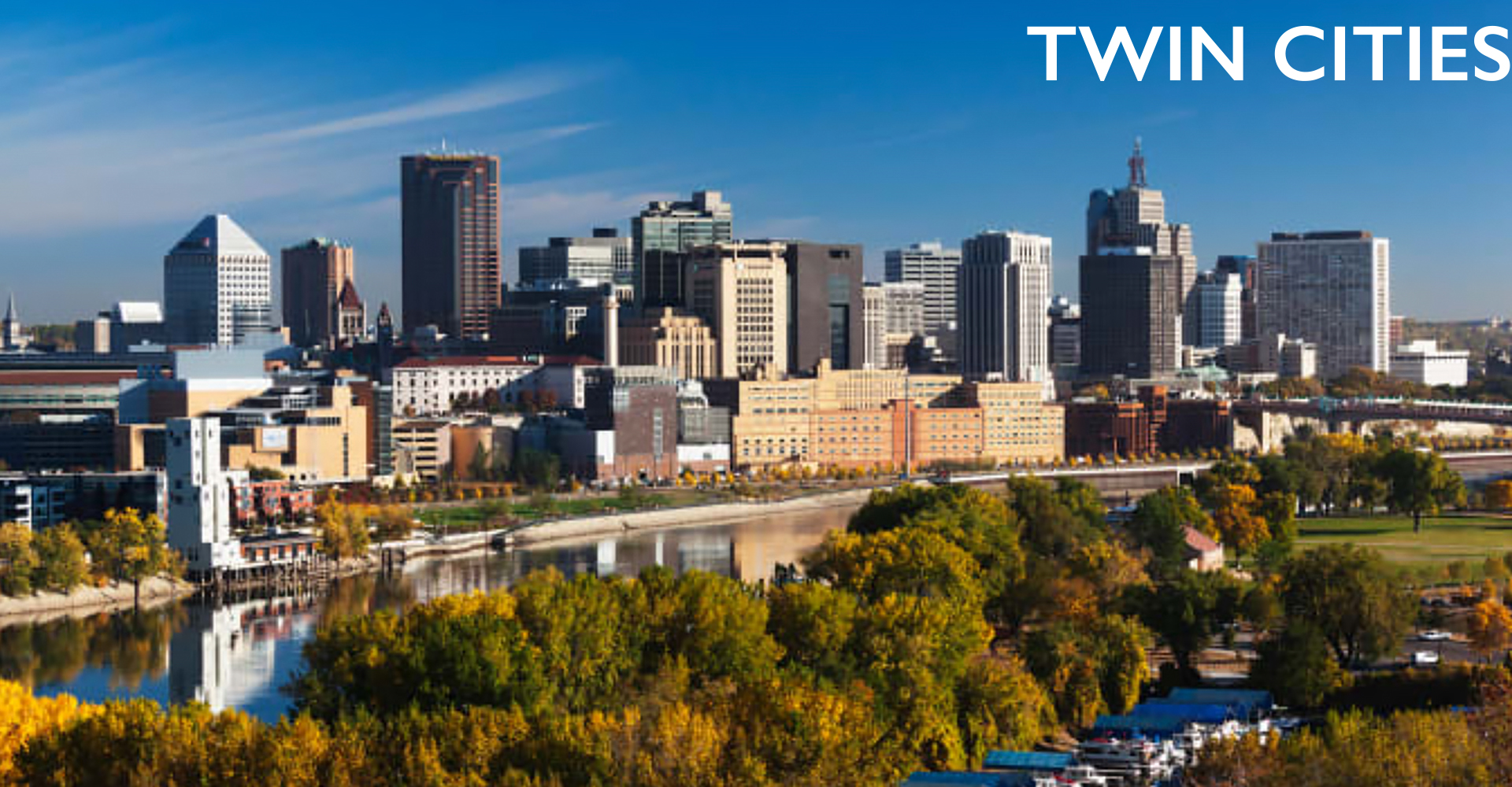 Twin Cities lice treatment Twin Cities lice treatment