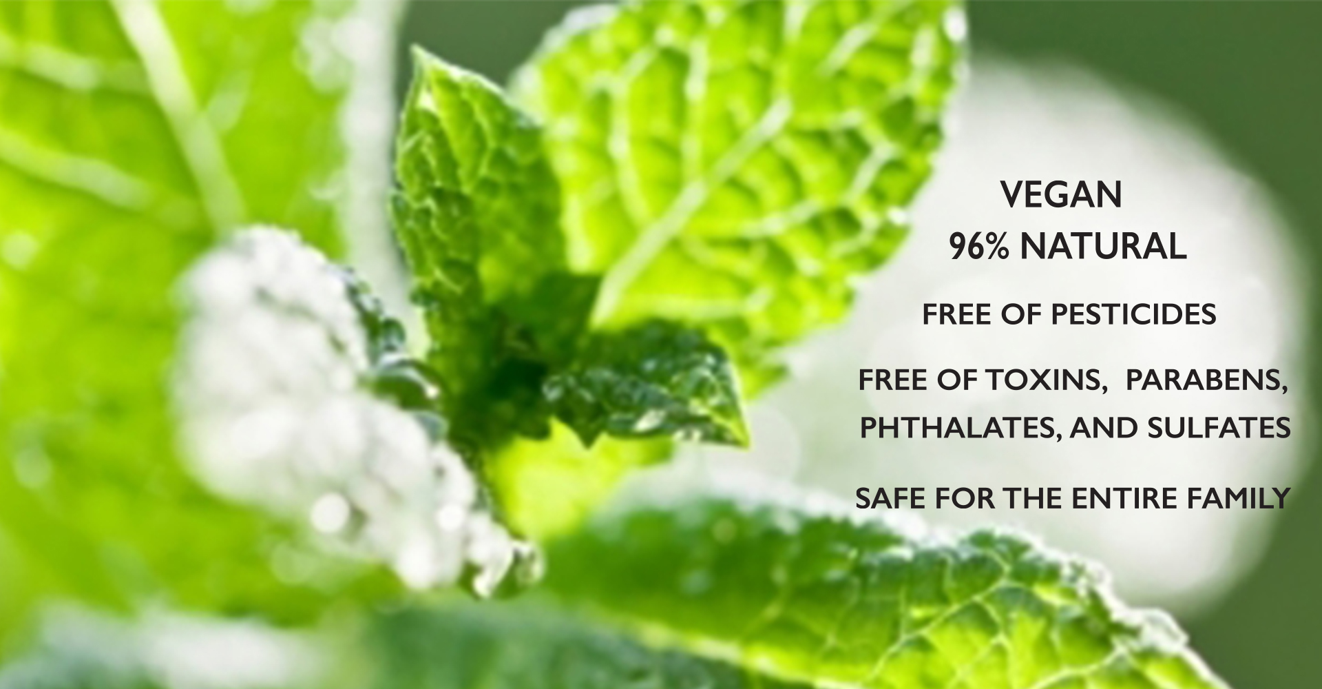 Ladibugs Lice Products Ingredients Ladibugs Lice Products Ingredients